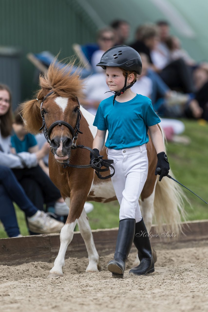 Bild 215 - Pony Akademie Turnier